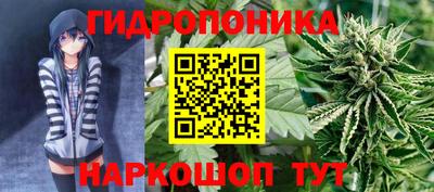 ПСИЛОЦИБИНОВЫЕ ГРИБЫ Малоярославец