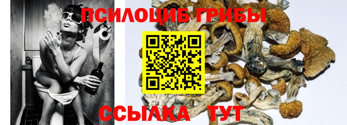 Псилоцибиновые грибы мухоморы Всеволожск